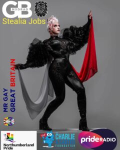 Stealia Jobs